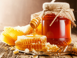 Madu: Manfaatnya bagi Kesehatan dan Kecantikan