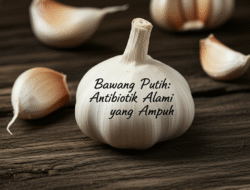 Bawang Putih: Antibiotik Alami yang Ampuh