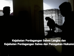 Kejahatan Perdagangan Satwa Langka dan Penegakan Hukumnya