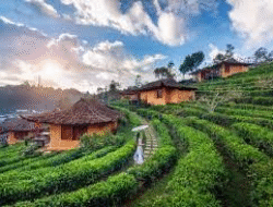 Tren Healing Lokal 2025: Desa Wisata Indonesia Jadi Destinasi Anti-Stres Favorit