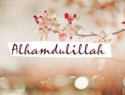 Pentingnya Melatih Rasa Syukur Setiap Hari Agar Hati Selalu Merasa Cukup Bahagia